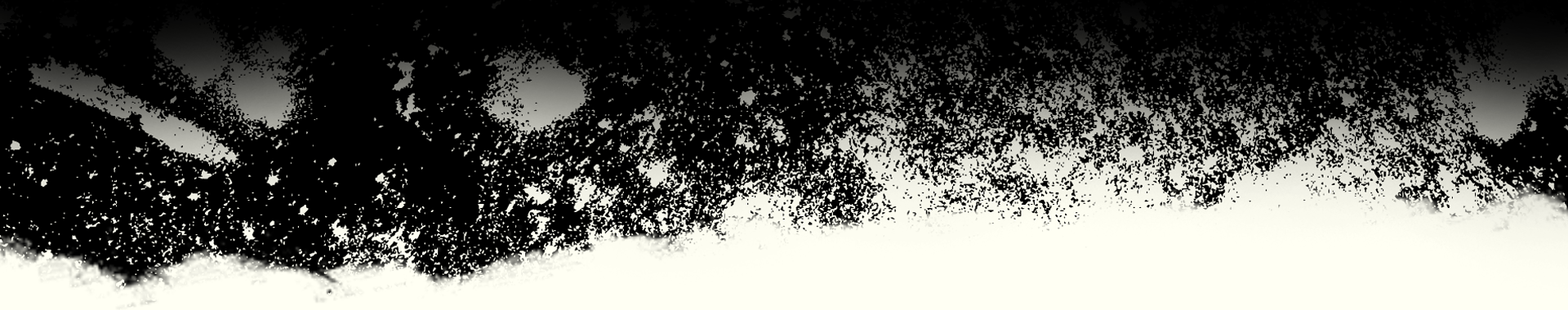 a close up of a tree